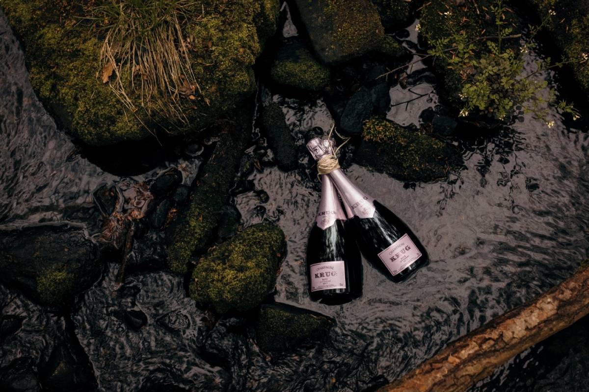 two bottles of champagne resting on top of a rock